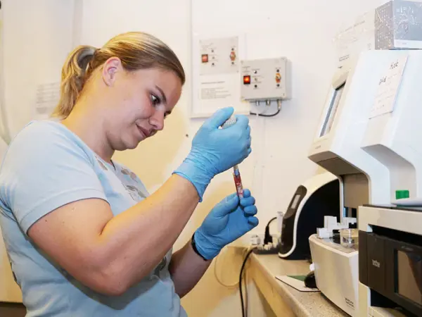 Veterinærmedarbejder analyserer blodprøve som led i udredning af hjerte- og lungesygdomme på Byens Dyreklinik i Nakskov på Lolland”